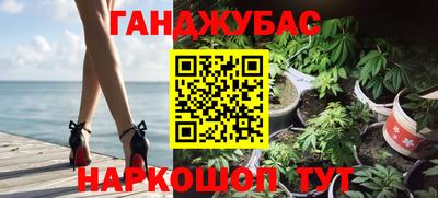 гашик Донской