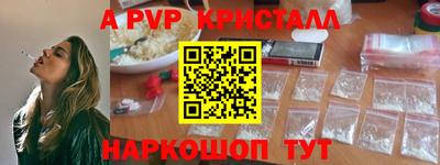 гашик Донской