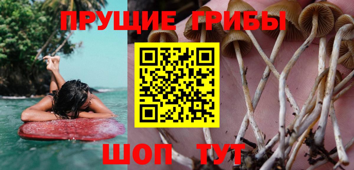 Галлюциногенные грибы мухоморы Ирбит